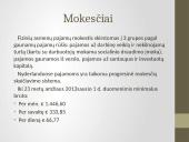 Olandijos socialinė aplinka 12 puslapis