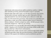 Olandijos socialinė aplinka 4 puslapis