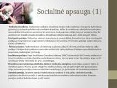 Olandijos socialinė aplinka 6 puslapis