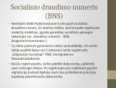 Olandijos socialinė aplinka 9 puslapis