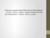 Olandijos socialinė aplinka 10 puslapis