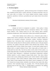 Kompiuterio įvesties - išvesties įrenginiai 13 puslapis
