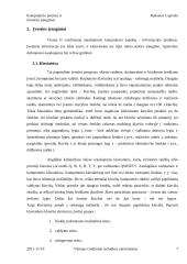 Kompiuterio įvesties - išvesties įrenginiai 7 puslapis