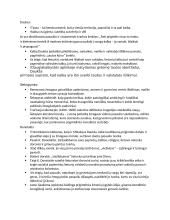 Programinių autorių mintys