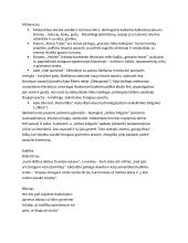 Programinių autorių mintys 2 puslapis