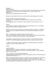 Programinių autorių mintys 3 puslapis