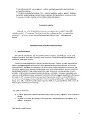 BVP skaičiavimas 6 puslapis