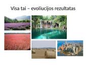 Gyvybės raida žemėje 2 puslapis