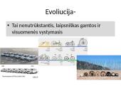 Gyvybės raida žemėje 3 puslapis