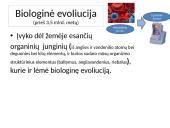 Gyvybės raida žemėje 7 puslapis