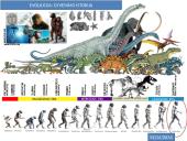 Gyvybės raida žemėje 8 puslapis