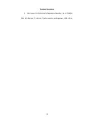 Darbo sutaries nutraukimas. Jo pagrindai 17 puslapis