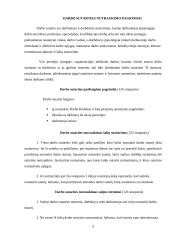 Darbo sutaries nutraukimas. Jo pagrindai 3 puslapis