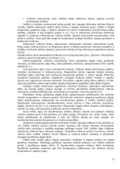 Siurblys-vamzdelis-purkštukas 11 puslapis