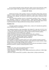 Siurblys-vamzdelis-purkštukas 12 puslapis