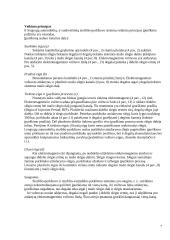 Siurblys-vamzdelis-purkštukas 7 puslapis