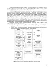 Siurblys-vamzdelis-purkštukas 10 puslapis