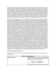 Technologijos ir atsakomybė 13 puslapis