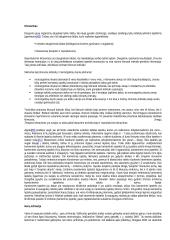 Technologijos ir atsakomybė 18 puslapis