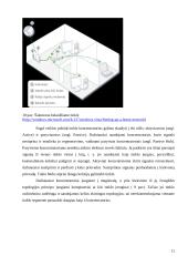 Lokalinių tinklų įrangos naudojimo ypatybės 11 puslapis