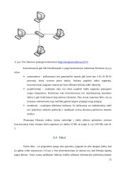 Lokalinių tinklų įrangos naudojimo ypatybės 12 puslapis