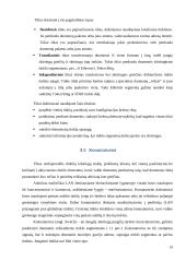 Lokalinių tinklų įrangos naudojimo ypatybės 14 puslapis