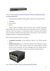 Lokalinių tinklų įrangos naudojimo ypatybės 15 puslapis