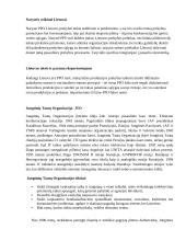 Politiniai ir ekonominiai susivienijimai 6 puslapis