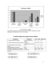 Pasirinktos įmonės “Melga” finansinės veiklos analizė 11 puslapis