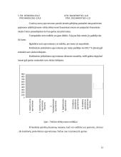 Pasirinktos įmonės “Melga” finansinės veiklos analizė 12 puslapis