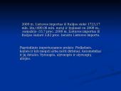 Italija pristatymas 13 puslapis