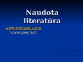 Italija pristatymas 14 puslapis