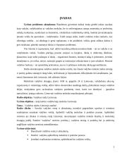 Vadybos raidos Lietuvoje analizė 2 puslapis