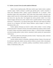 Vadybos raidos Lietuvoje analizė 13 puslapis