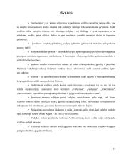 Vadybos raidos Lietuvoje analizė 15 puslapis