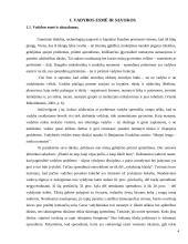 Vadybos raidos Lietuvoje analizė 4 puslapis