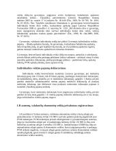 Referatas individuali veikla su valstybės mokesčių inspekcijos pažyma 7 puslapis