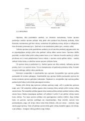 Modulio “bankų aktyvų ir pasyvų valdymas” 12 puslapis