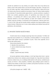 Modulio “bankų aktyvų ir pasyvų valdymas” 18 puslapis