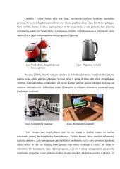 Filosofinio teksto analizė 2 puslapis