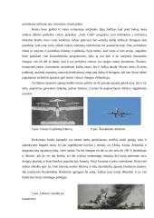 Filosofinio teksto analizė 3 puslapis