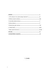 Įstaigos duomenų ypatumai 2 puslapis