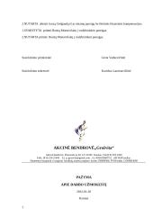 Įstaigos duomenų ypatumai 12 puslapis