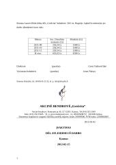 Įstaigos duomenų ypatumai 13 puslapis