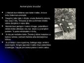 Jonas Mačiulis - Maironis (1862-1932) 5 puslapis