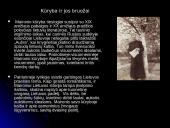 Jonas Mačiulis - Maironis (1862-1932) 7 puslapis