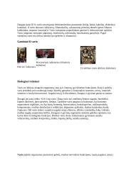 Vario gavimas ir paplitimas 2 puslapis