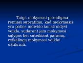 Šiuolaikinės mokymo ir mokymosi strategijos 13 puslapis