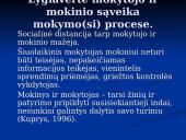 Šiuolaikinės mokymo ir mokymosi strategijos 14 puslapis