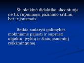 Šiuolaikinės mokymo ir mokymosi strategijos 17 puslapis